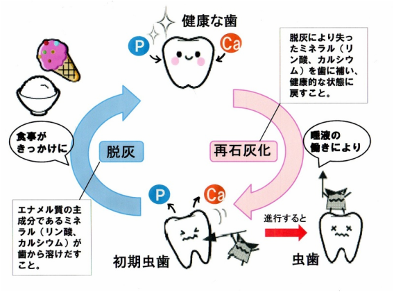 サイクル