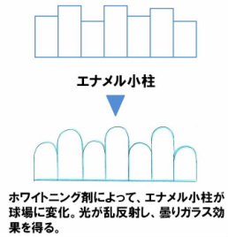 白くなるメカニズム2